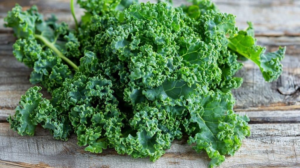 Top 5 des aliments pour nettoyer naturellement ses intestins